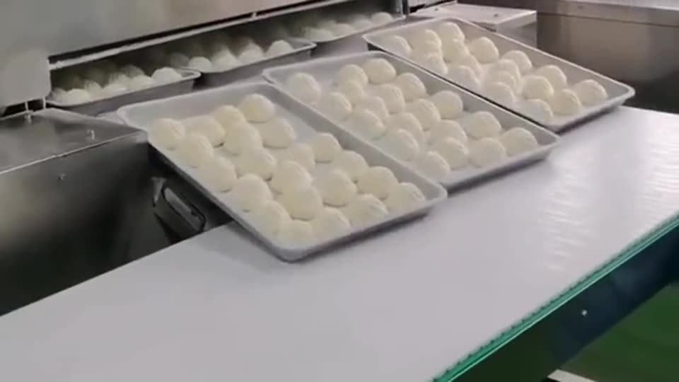 托盘食品通过隧道